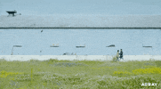 Drag Alaska GIF by ARRAY