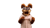 Baseball What Sticker by SmokiesBaseball
