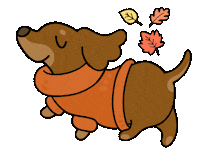 Dog Fall Sticker by SASSYWOOF