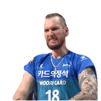 Volleyball Fret Sticker by kovopr