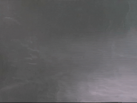 Footage Oaf GIF by jorgemariozuleta