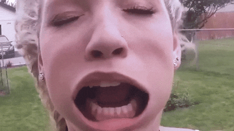 brunoferreiraad290e07c3d74927a82e0eeee2a100d8 giphyupload fun face silly GIF