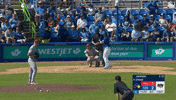 Watching Blue Jays GIF by Toronto Blue Jays