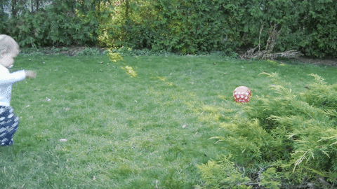 cat baby GIF