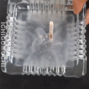 helloppt giphyupload GIF
