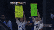 sf 137 GIF by MLB
