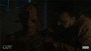 hbo GIF by Game of Thrones