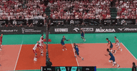 GIF by Brown Volleyball