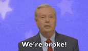 Lindsey Graham GIF by Election 2020