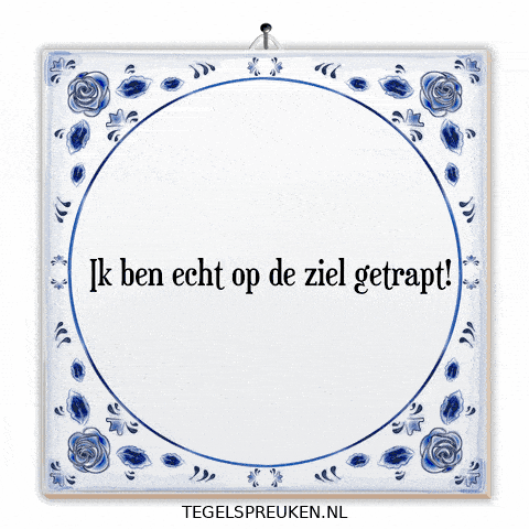 Nl Troost GIF by Tegelspreuken.nl