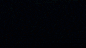 Water Swimming GIF by Giant Squid