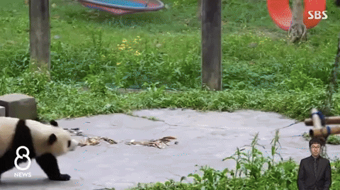 qwerpoiu22ppop giphyupload GIF