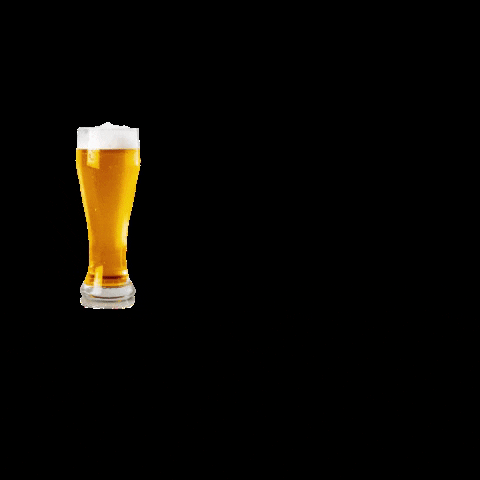 bottletaps giphygifmaker beer wine drinking GIF
