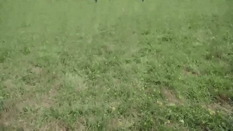 Happy Full House GIF by Lapointe Insurance Agency