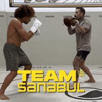 Mma GIF by Sanabul