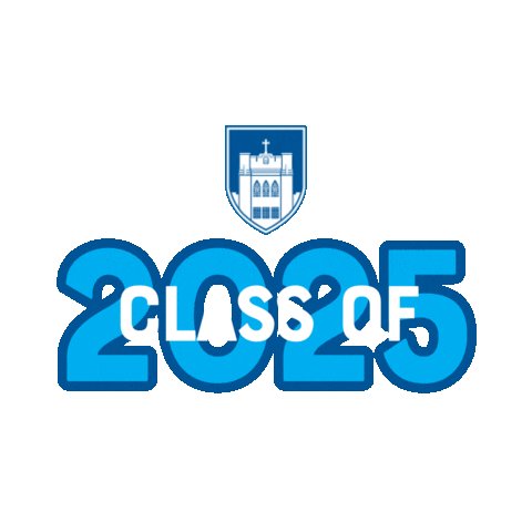 Knights Newburgh Sticker by Mount Saint Mary College