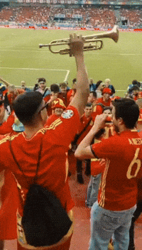 World Cup Football GIF