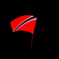 Flag Carnival GIF by pothounds