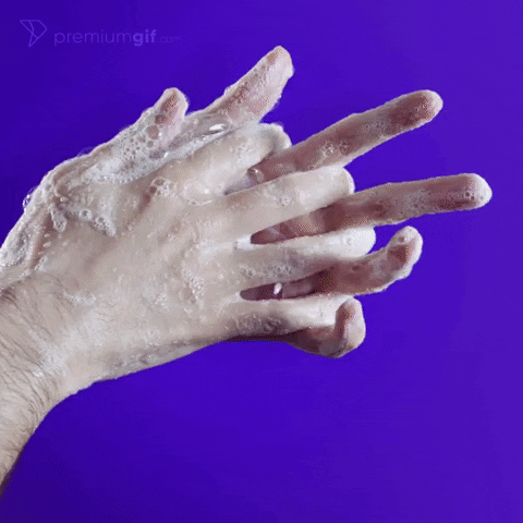 PremiumGif giphyupload GIF