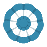 San Martin Argentina Sticker by Clarín