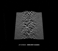 joy division pop GIF by hoppip