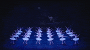Swanlake GIF by English National Ballet