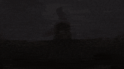 Happy Dream Come True GIF by Tonko House