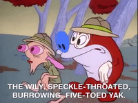 ren and stimpy nicksplat GIF