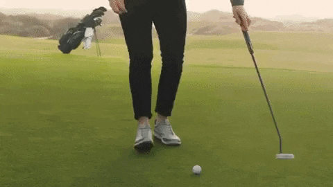 songsususu giphygifmaker GIF