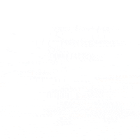 konstantinvsedegov giphygifmaker GIF