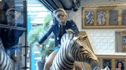 bbuk bear big brother reality tv cbb GIF
