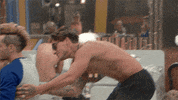 bbuk bear big brother reality tv cbb GIF