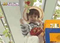 Koreantagshook GIF