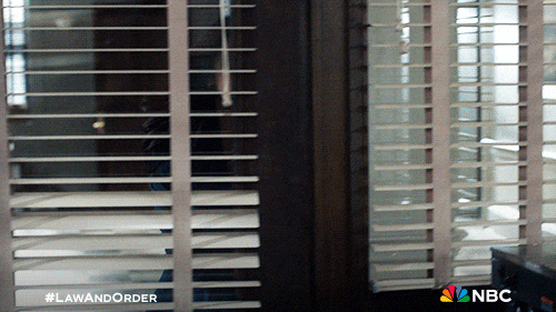 Season 24 Nbc GIF by Law & Order