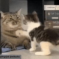Mother Slap GIF