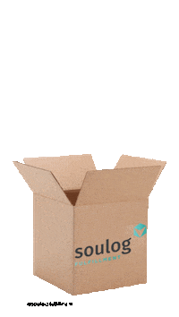 Ecommerce Logistica Sticker by Soulog