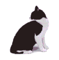 cat STICKER