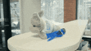 Dillon GIF by Hartford Athletic