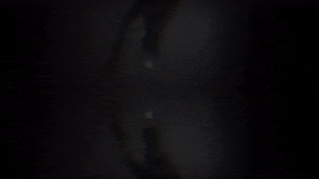 Black And White Loop GIF