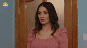 Ask Ismail GIF by Show TV