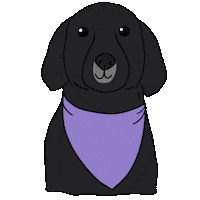 Cute Dog Sticker