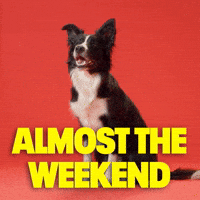 Excited Its Friday GIF by Sealed With A GIF