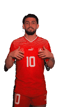 Switzerland Suisse Sticker by Swiss Football Association