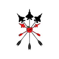 Air Force Sticker by RampCheckGlobal
