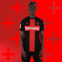 Bayer 04 Win GIF by Bayer 04 Leverkusen
