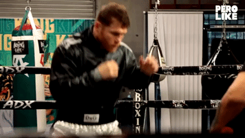 Canelo Alvarez Uppercut