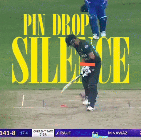 Team India GIF