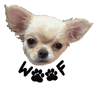 Dog Love Sticker