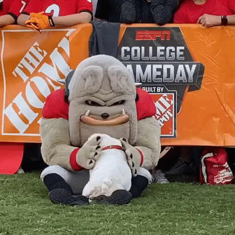Starstruck Pooch Hangs Out With Georgia Bulldogs Mascot