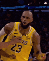 Lebron James Basketball GIF